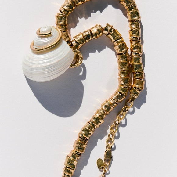 Zara Genuine Seashell Necklace & Gold Chunky Chain, ZARA - Picture 7 of 8